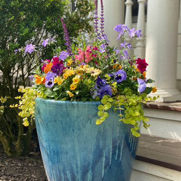 Early Spring Containers