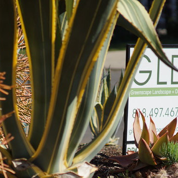From English Garden to Drought Tolerant Xeriscape