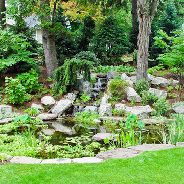 Landscape, Pools, and Waterfalls