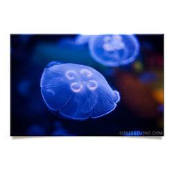 Jellyfish Collection - Prints And Posters