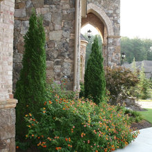 Landscaping Ideas