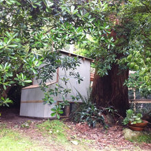 Landscape Ideas