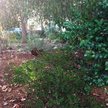 2018 Native Plant Garden Tour