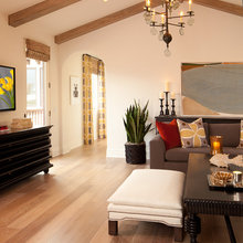 Living Room Ideas