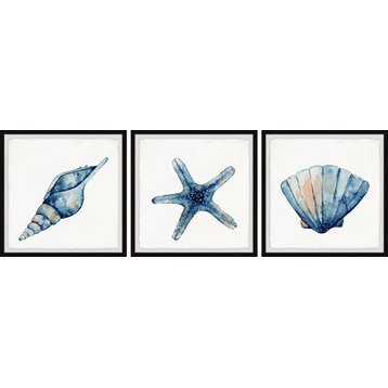 Starfish and Shells Triptych, 3-Piece Set, 18x18 Panels