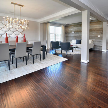 Modern Home / Modern Dining Room / Modern Living Room