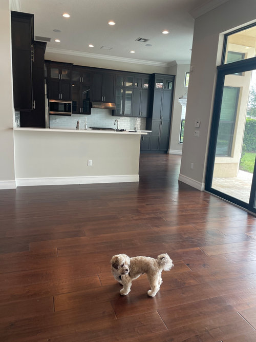 Paint Color Help ! Chantilly Lace reviews please