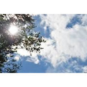 Mary Lardner Rowe's photo