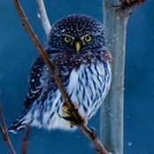 Gina ONiel's photo