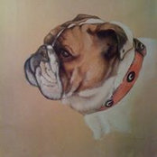 Larry White's photo