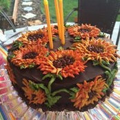 Foto von Kate Snapp