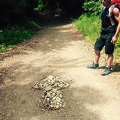 Simon Reedes foto
