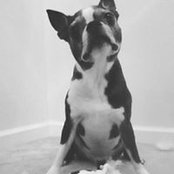 Briana Lynch's photo