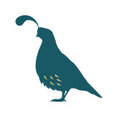 Old California Lighting's profile photo