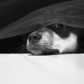 Foto von Isa Belle