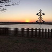 David Singer's photo