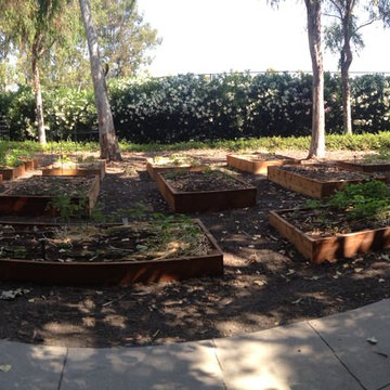 ebay, inc. Corporate Vegetable Garden Installation & Employee Garden Education