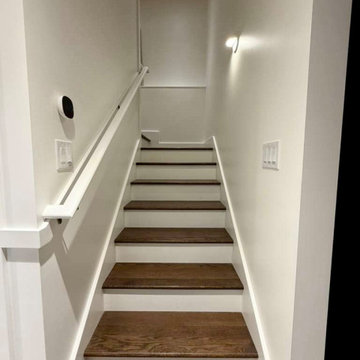 BASEMENT REMODEL - IN PROGRESS - EASTERLIN‘S RESIDENCE
