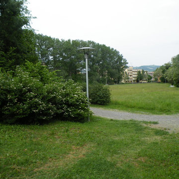 FIORITURA DI VIBURNI
