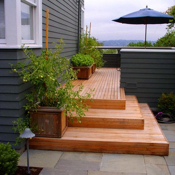 Seattle garden