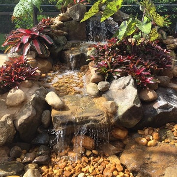 Sanctuary Gardens Projects