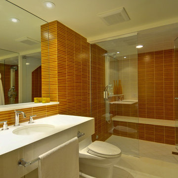 Basement Bathroom