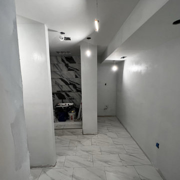 Basement Remodel