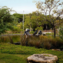 Landscape Pros