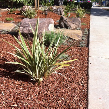 New Front Yard
