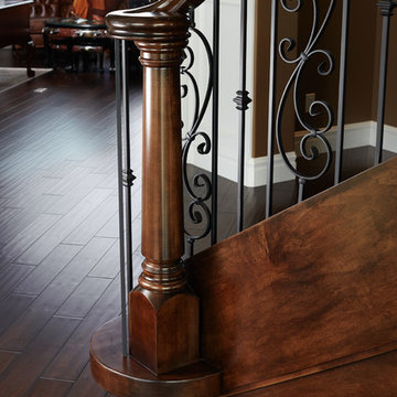 Elegant Maple Curve