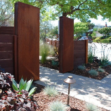 Contemporary Front Yard