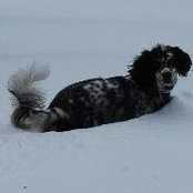 Sandie Kierstead Spear's photo