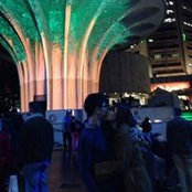 Ruth Ahn's photo