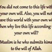 Maqadsa Arif's photo