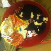Susan Mann's photo