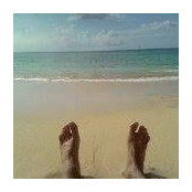 Philippe Meslay's photo