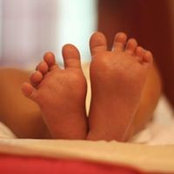 Shabin Rasheeds foto