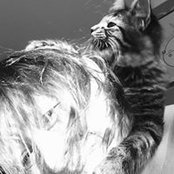 Kate Monaghan's photo
