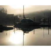 Foto von Kathy Kafer
