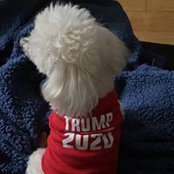 Ann Nemec's photo