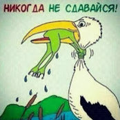 Alexander Shcharanskys foto