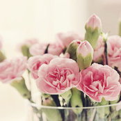 Emilia Gunnarsson's photo