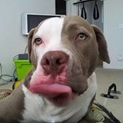 Tony Kurtis's photo