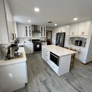 Calacatta Zion Quartz Countertops Remodel