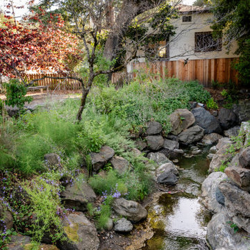 Creekside Restoration: Wider View of Creekside with Native Plants and Trees