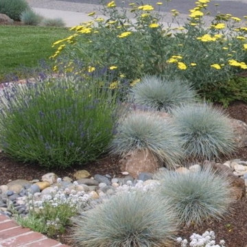 Campbell, CA - Wildlife Habitat