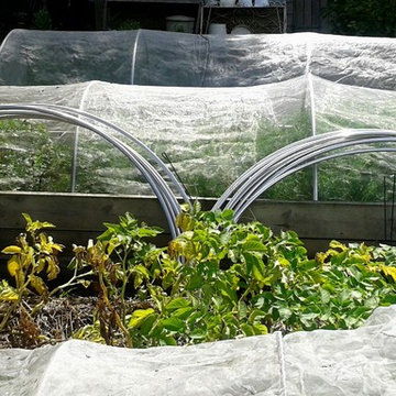 The Kitchen Garden
