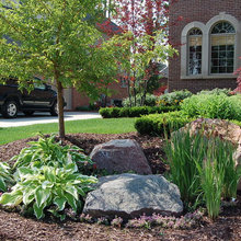 Frontyard Landscape
