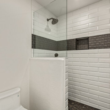 Nolina Trail - Warm Contemporary