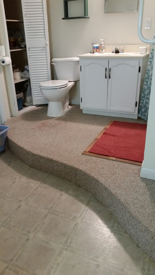 raise bathroom floor